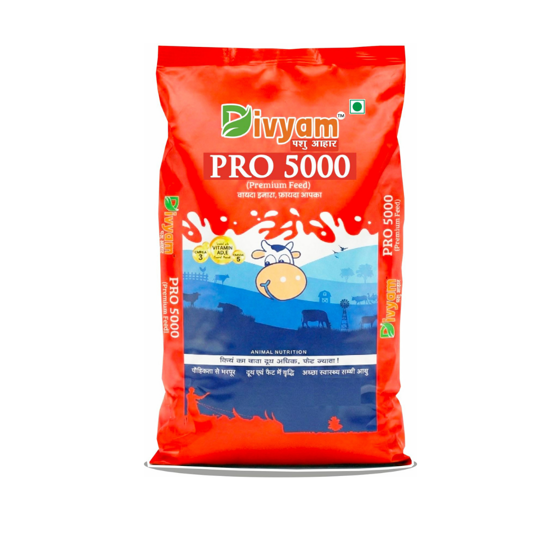 DIVYAM PRO 5000