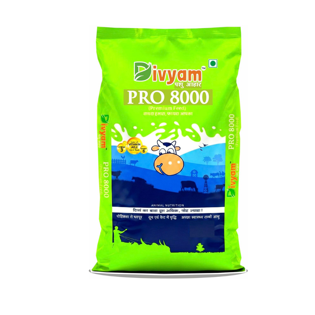 DIVYAM PRO 8000
