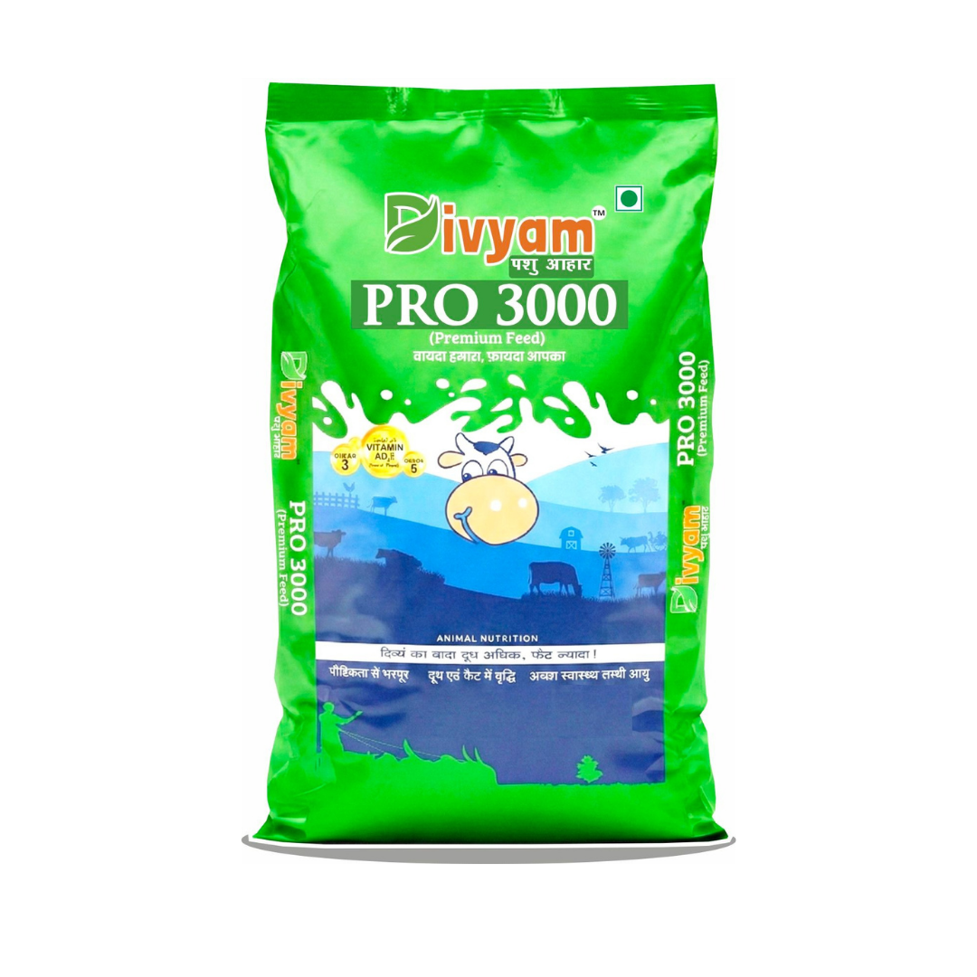 DIVYAM PRO 3000